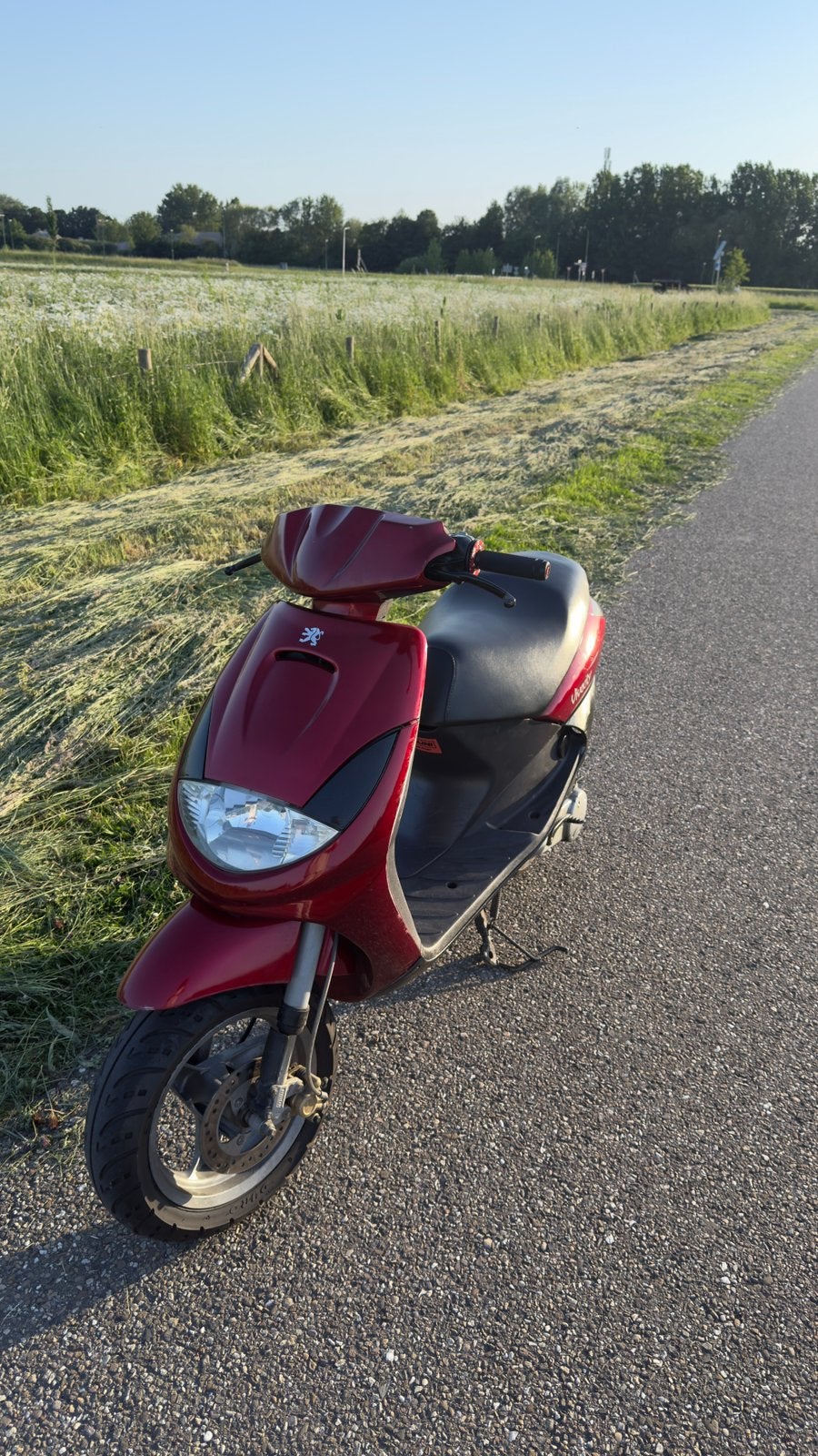 vivacity 2005, Ophalen, Tweetakt, Maximaal 45 km/u, Zo goed als nieuw