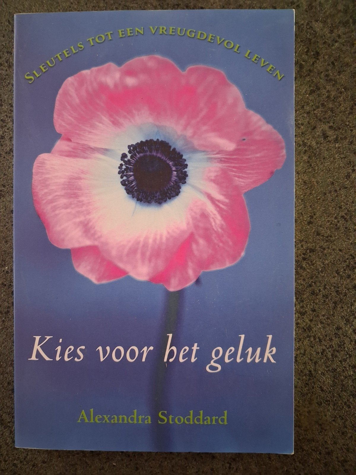 A. Stoddard - Kies voor het geluk, Boeken, Ophalen of Verzenden, Nieuw, A. Stoddard