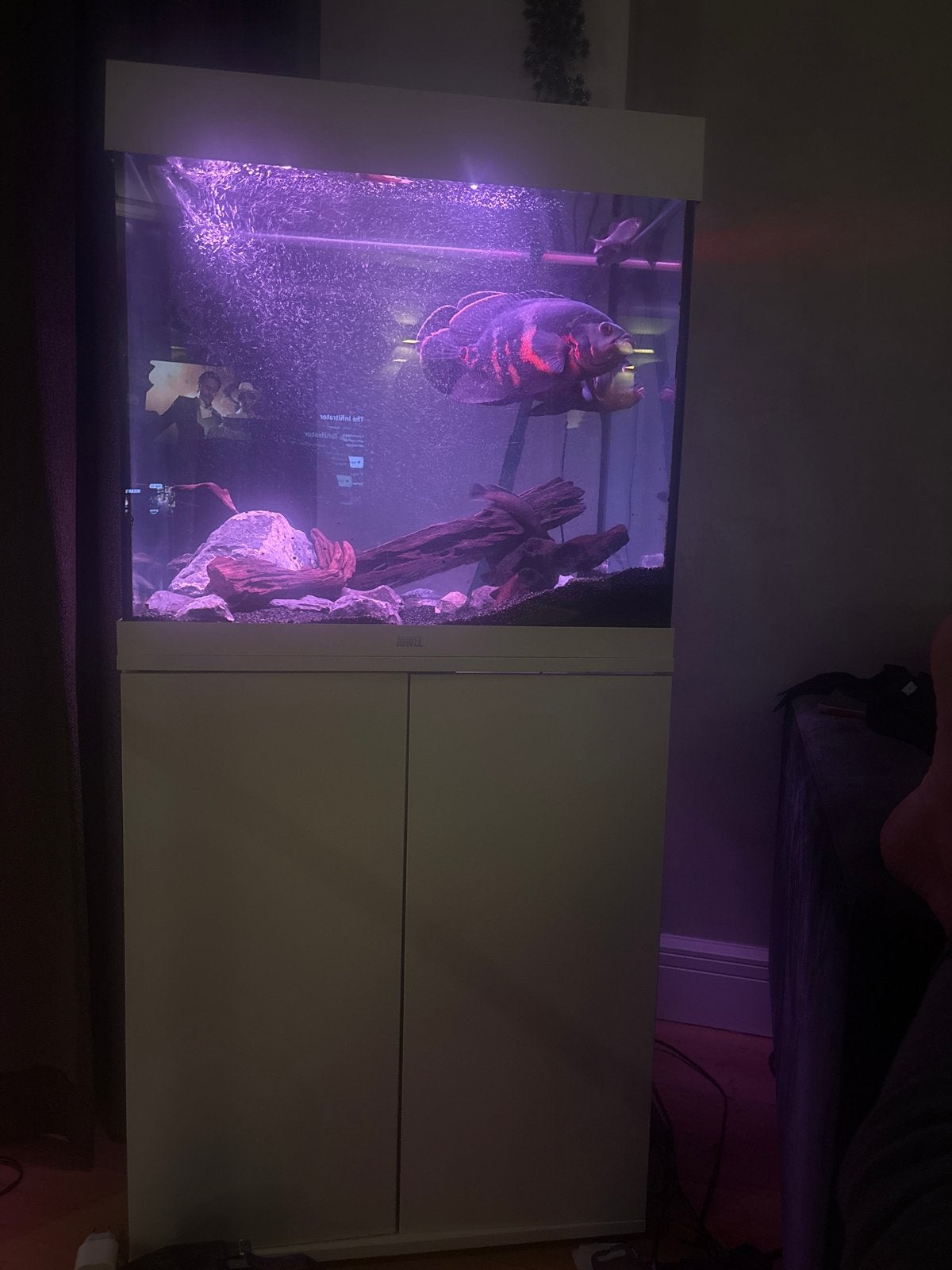Juwel 120, Dieren en Toebehoren, Ophalen of Verzenden, Zo goed als nieuw, Leeg aquarium