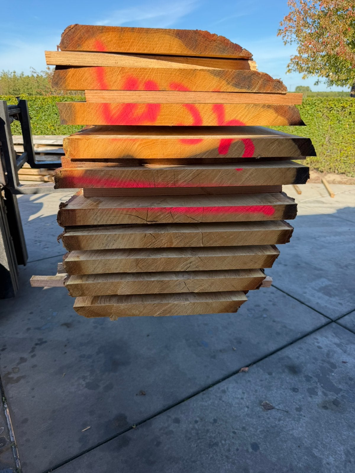 10x eiken schaaldelen 360x50/55x4 cm, Ophalen of Verzenden, Zo goed als nieuw, 250 cm of meer, Planken