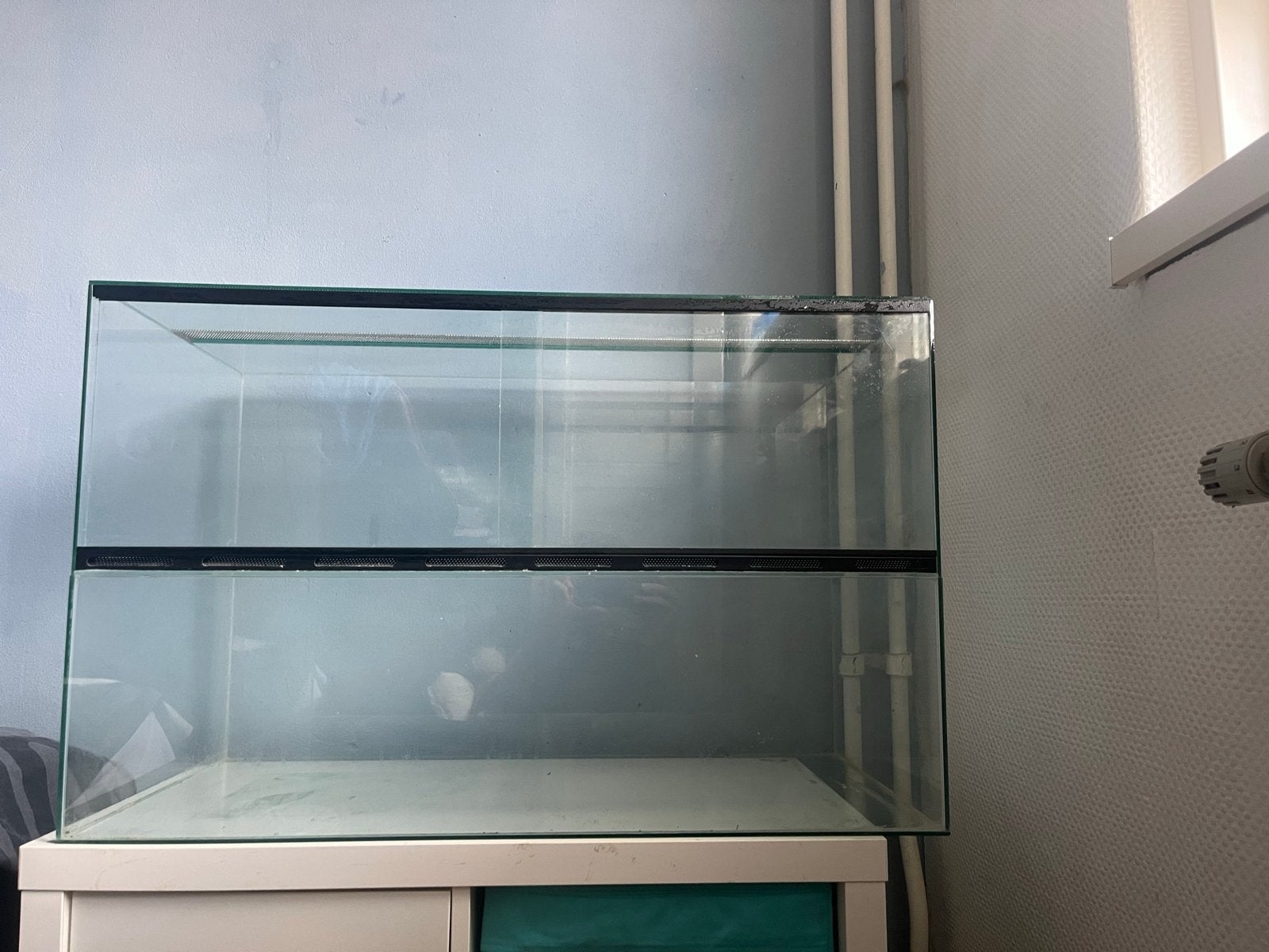terrarium 80x40x50, Ophalen, Gebruikt, Terrarium of Paludarium