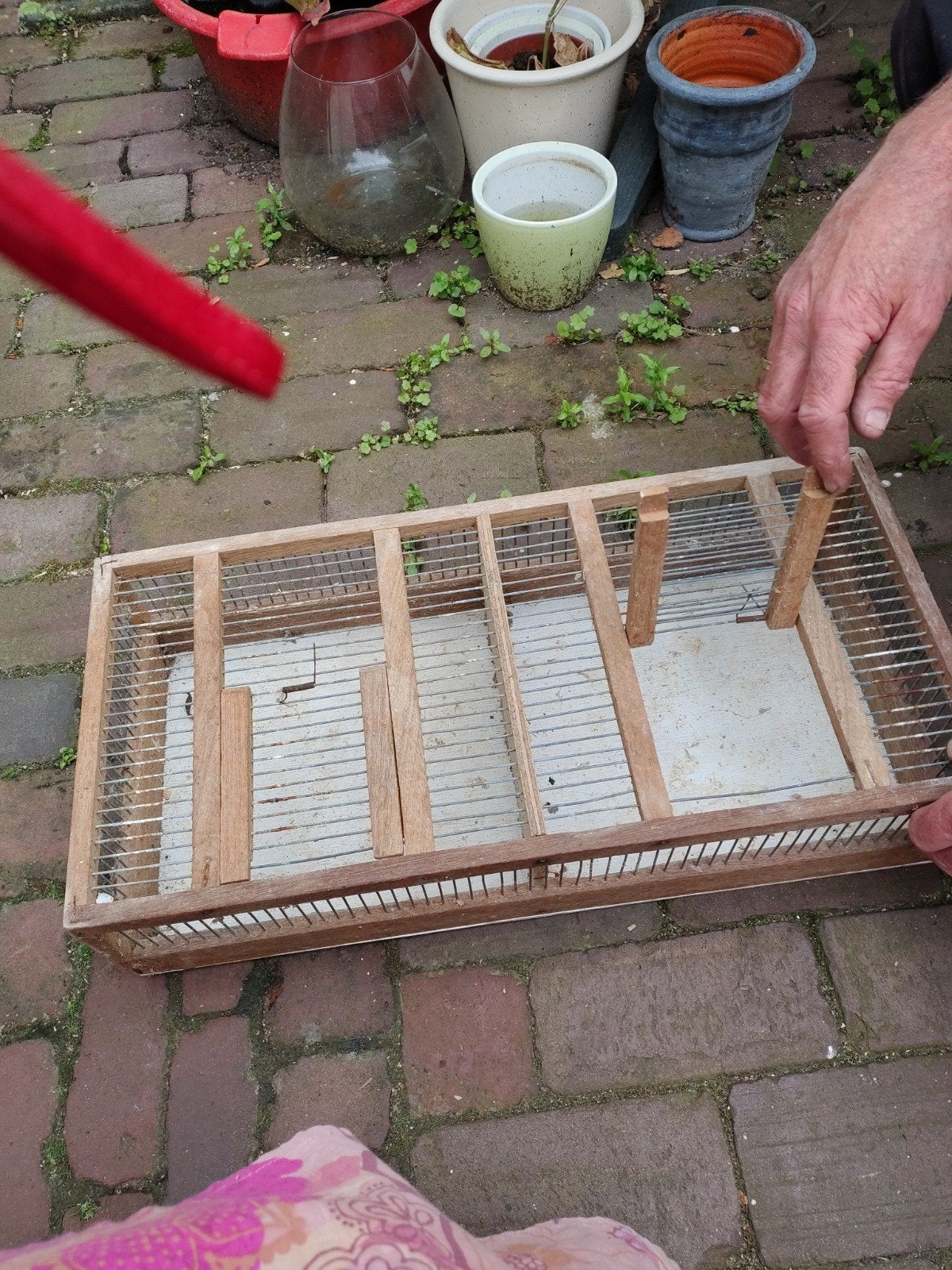 Vogelvervoerskastjes, Dieren en Toebehoren, Ophalen of Verzenden, Hout, Vogelkooi