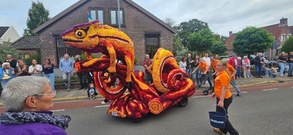 Kameleon carnavalswagen corsowagen, Ophalen, Gebruikt, Feestartikel, Carnaval