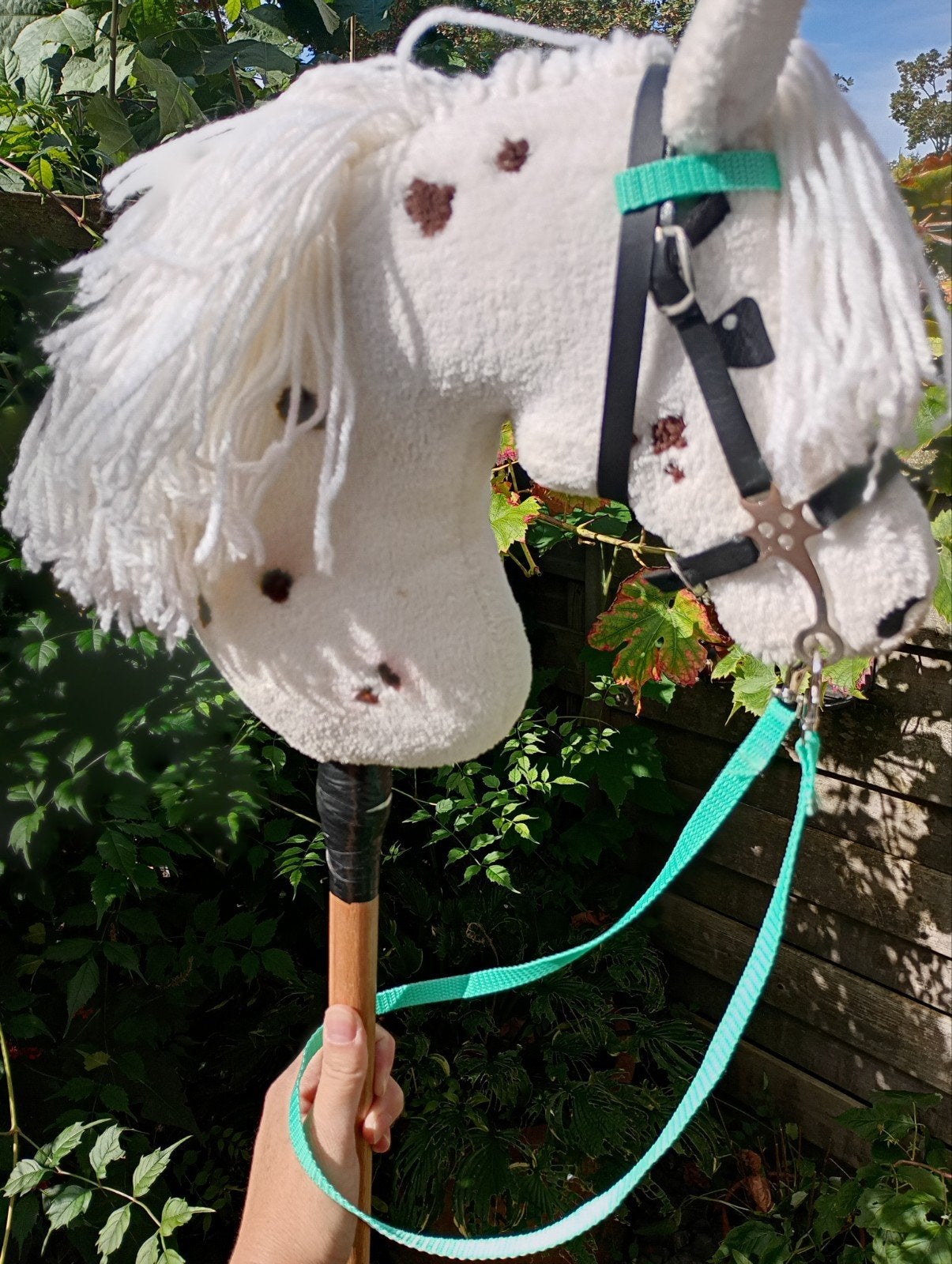 Prachtige gestippelde hobbyhorse, Ophalen of Verzenden, Zo goed als nieuw, Jongen of Meisje