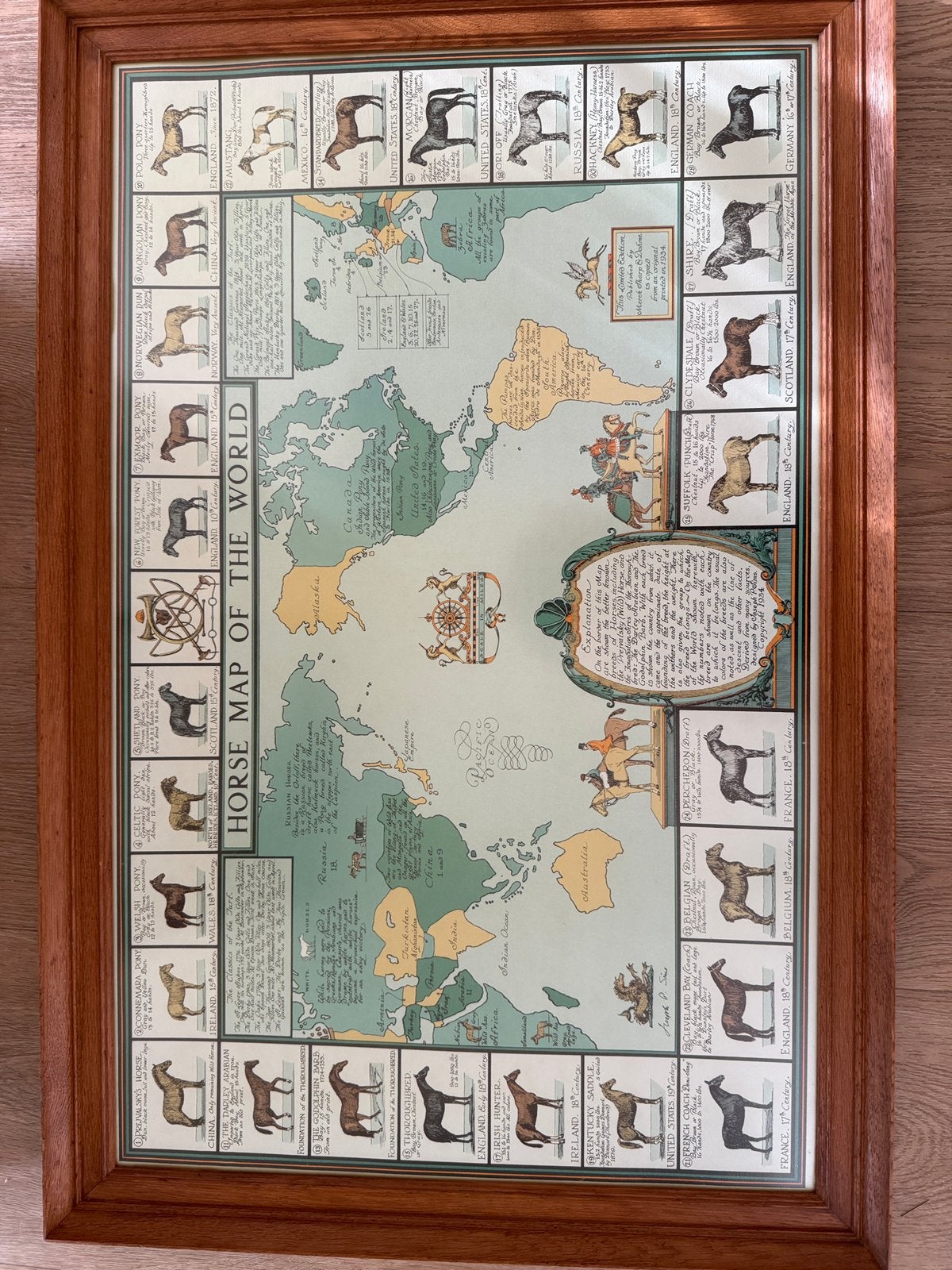 Leuke ingelijste poster ‘horse map of the world’, Ophalen of Verzenden, Zo goed als nieuw