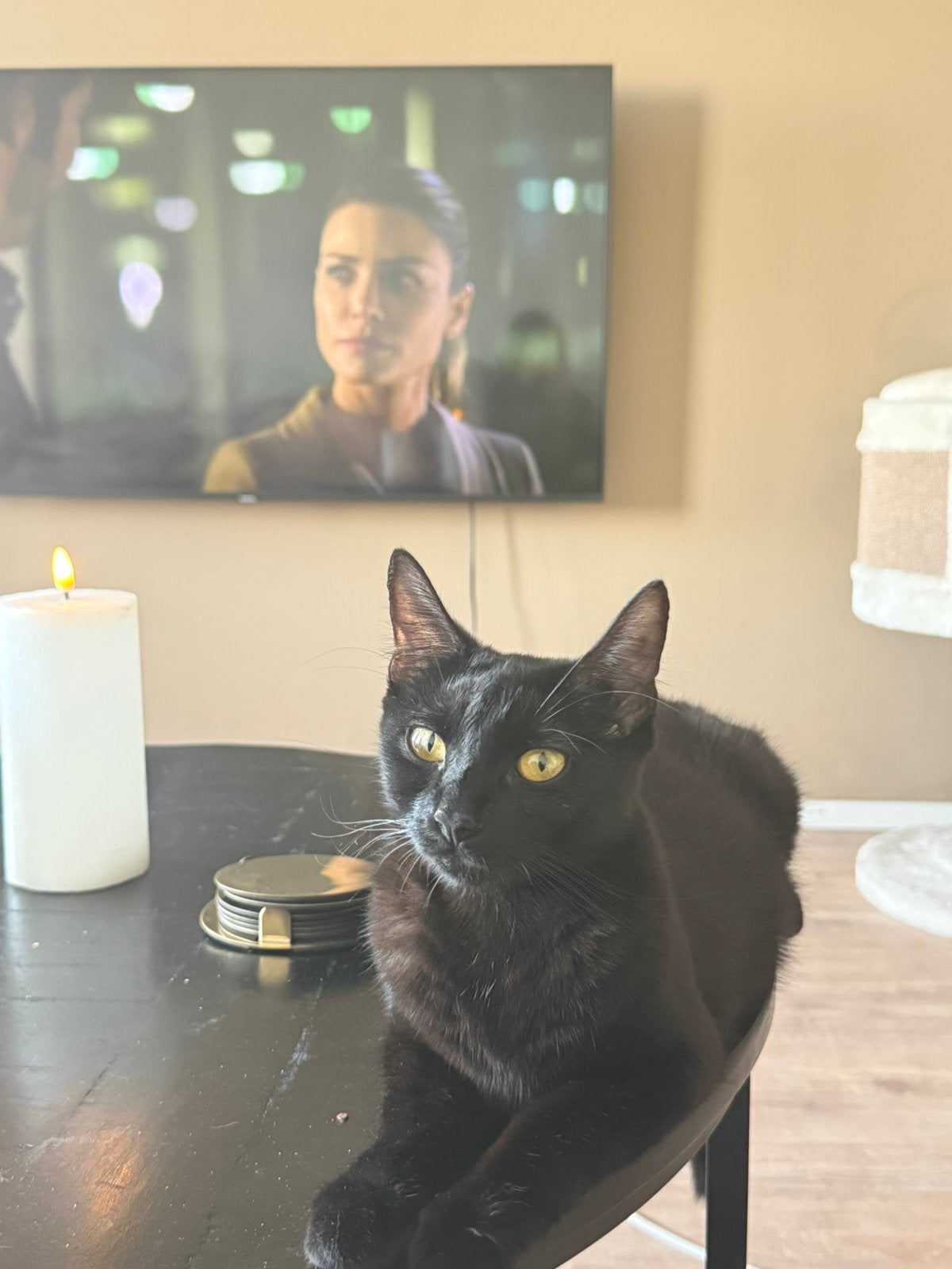 Poes zoekt nieuwe thuis, Dieren en Toebehoren, Katten en Kittens | Overige Katten, Poes