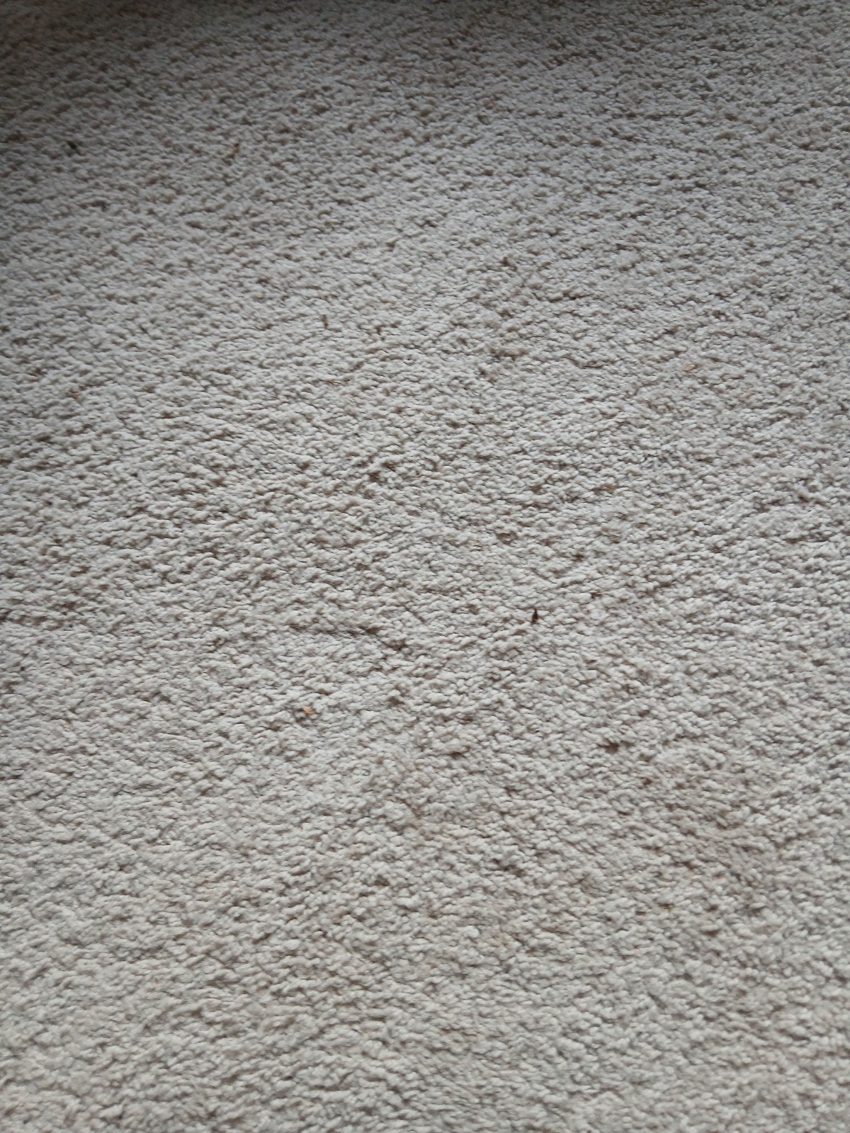 Gratis af te halen: Beige vloerbedekking, ca. 75 m2, Ophalen, 75 m² of meer, Beige, Zo goed als nieuw