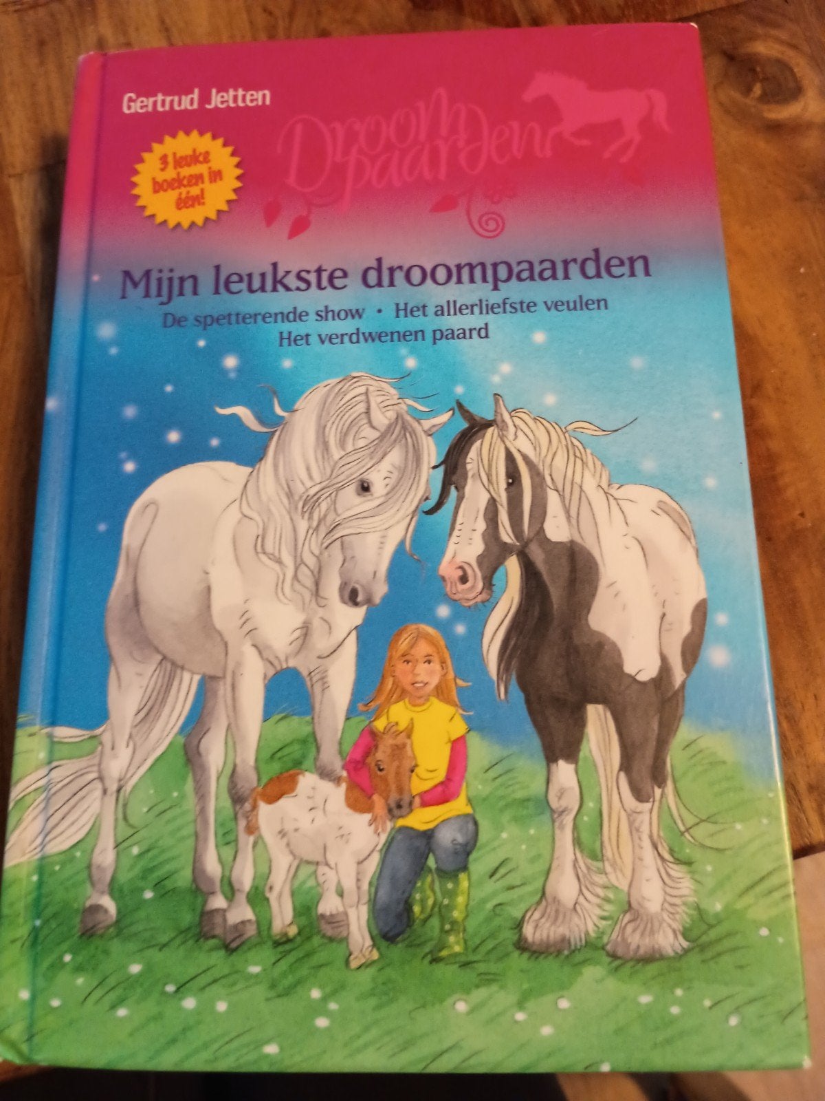 Mijn leukste droompaarden - Gertrud Jetten, Boeken, Ophalen of Verzenden, Gelezen, Gertrud Jetten, Fictie algemeen