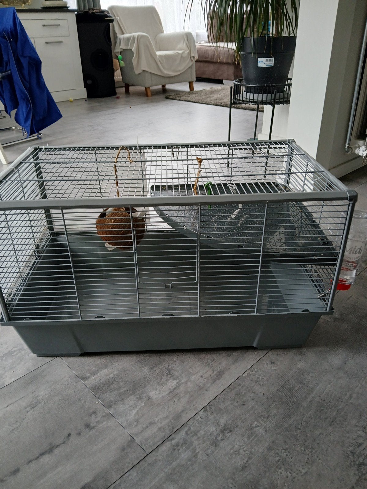 hamsterkooi,ZGAN!, Kooi, Minder dan 75 cm, Ophalen, Minder dan 60 cm