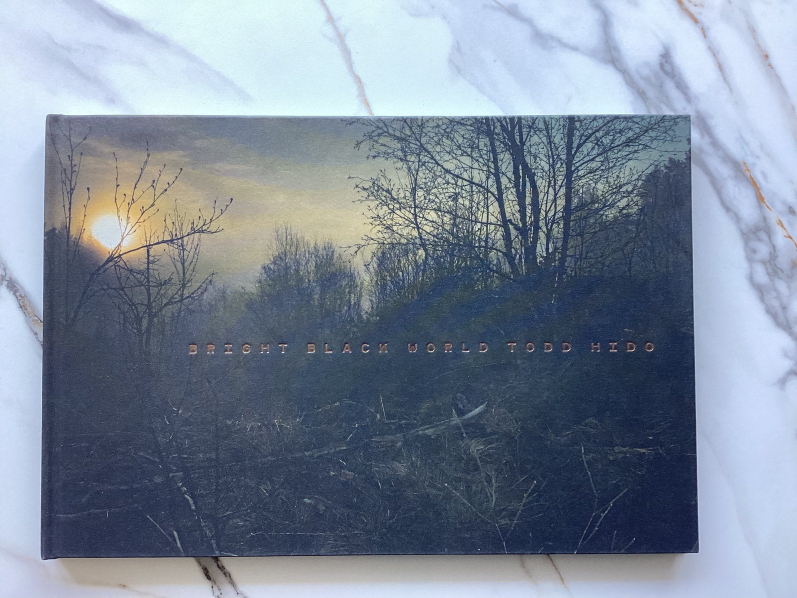 TODD HIDO Bright Black World, Ophalen of Verzenden, Nieuw