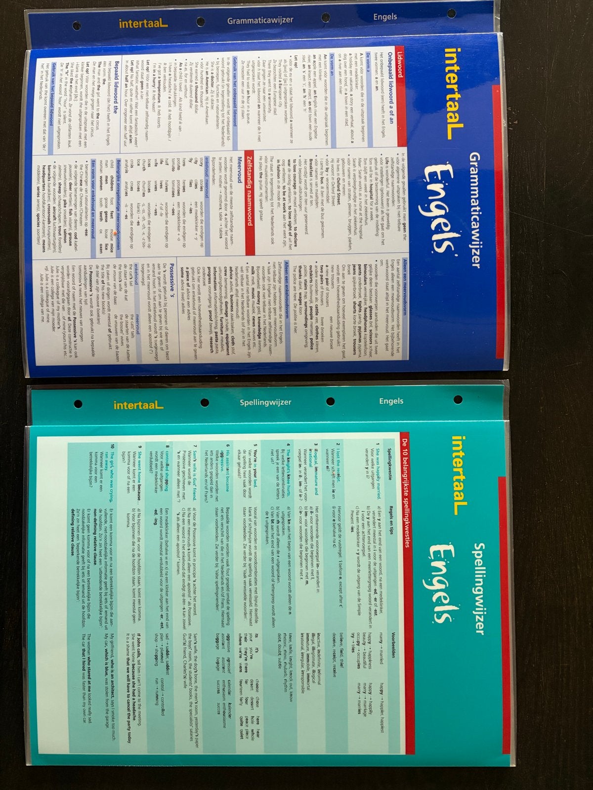 Intertaal Grammaticawijzer & Spellingwijzer Engels, Boeken, Ophalen of Verzenden, Zo goed als nieuw, Non-fictie
