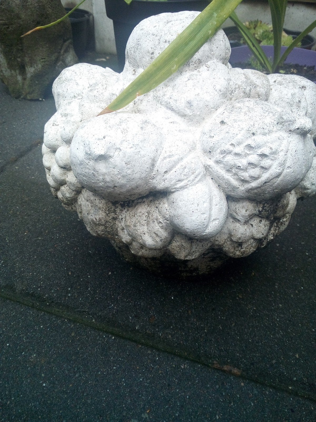 mooie betonnen fruitschaal, Tuin en Terras, Tuinbeelden, Ophalen, Gebruikt, Beton, Overige typen