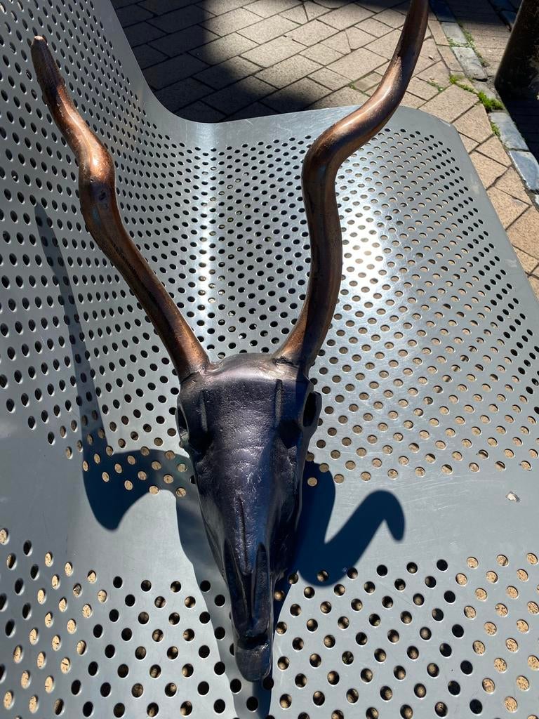 Bronzen Kop Gewei - hoorn kudu antilope ? Decoratief Stuk, Ophalen of Verzenden, 20 - 50 cm, Beeld, Bruin