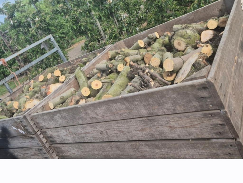 Haardhout appel, Ophalen of Verzenden, Hout, Minder dan 3 meter, 1 tot 2 meter