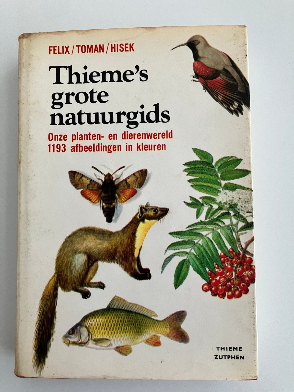Thieme's Grote Natuurgids: Planten- en Dierenwereld, Boeken, Natuur, Ophalen of Verzenden, Gelezen, Natuur algemeen