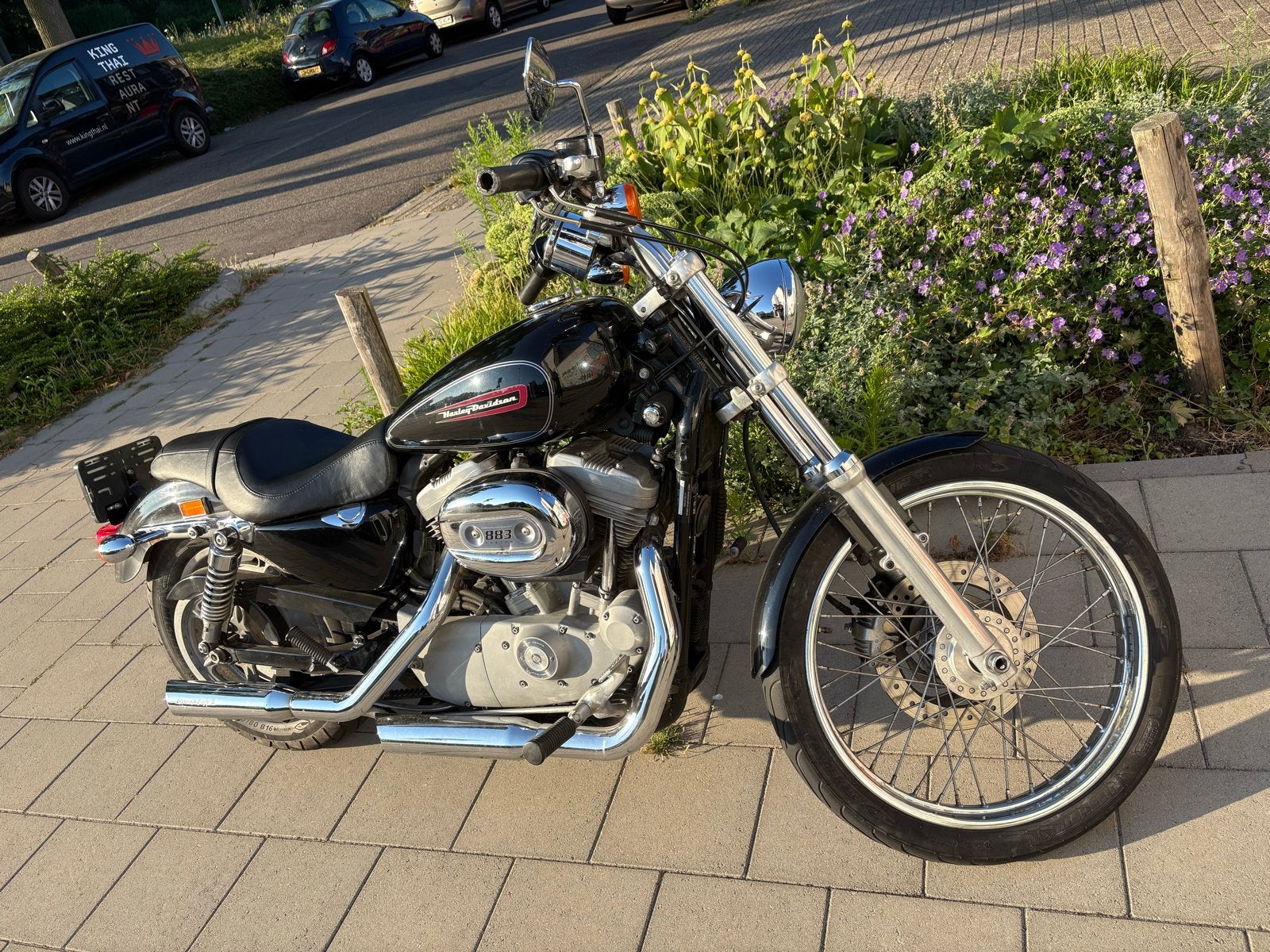 Harley Davidson XL883L Sportster SuperLow 2011 - 21.000 km, 2 cilinders, Chopper, Gebruikt, Particulier