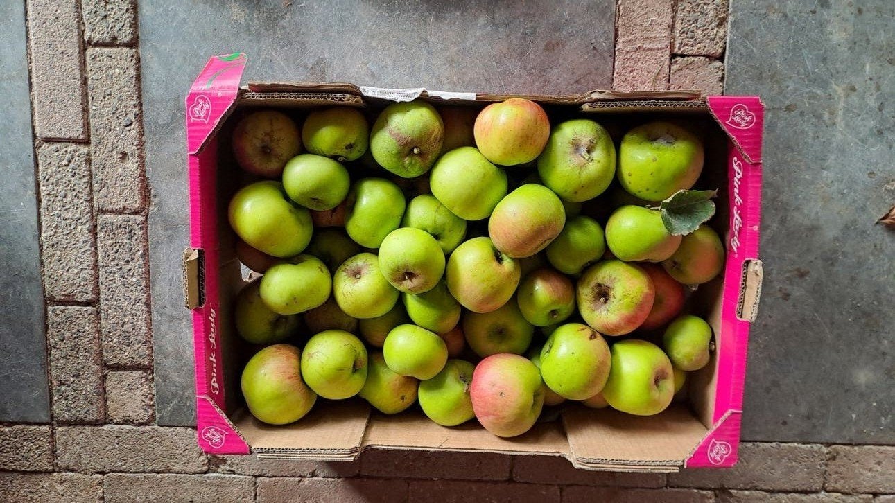 Jonagold appels tekoop, Ophalen