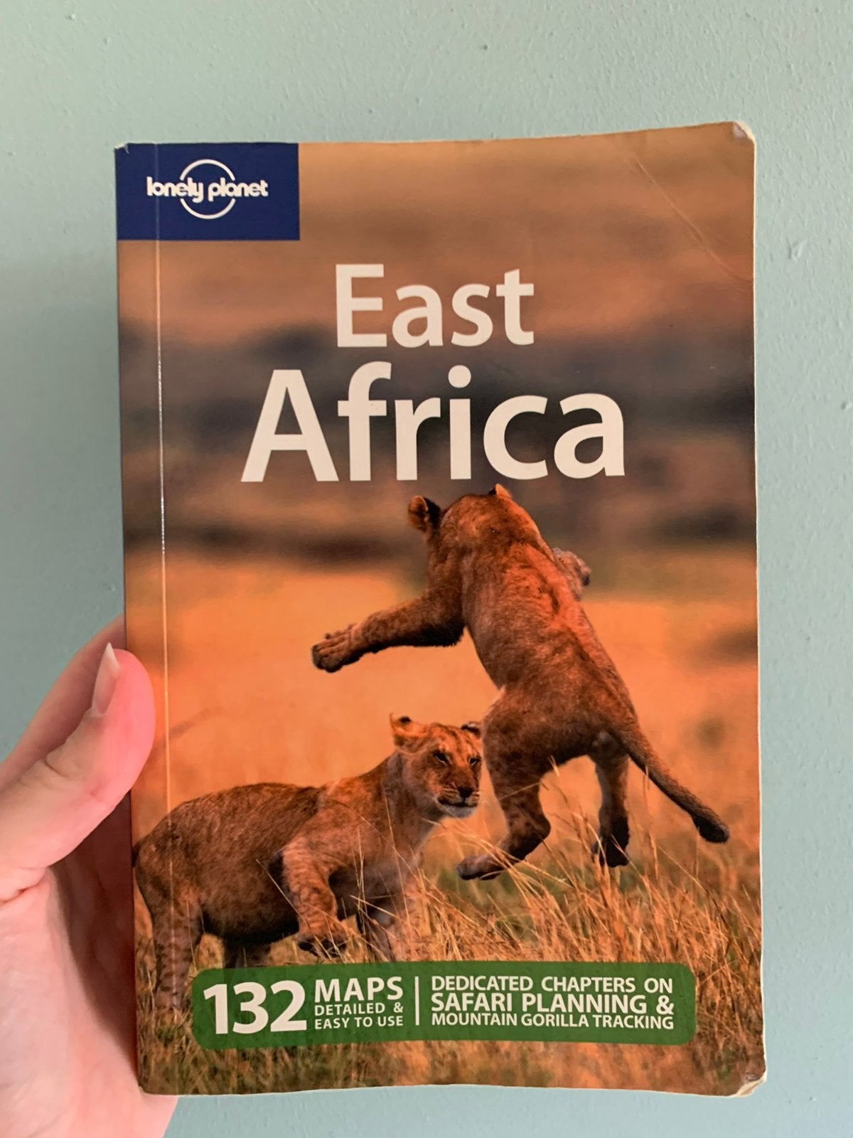 Lonely Planet East Africa, Afrika, Lonely Planet, Ophalen of Verzenden, Zo goed als nieuw