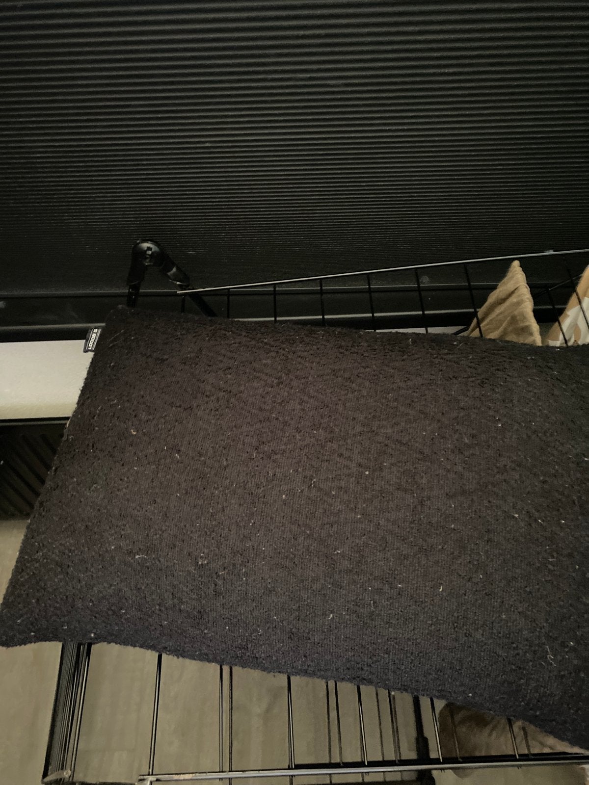 Zwart sierkussen van LOODS 5, Overige merken, Gebruikt, Zwart, Afneembare hoes