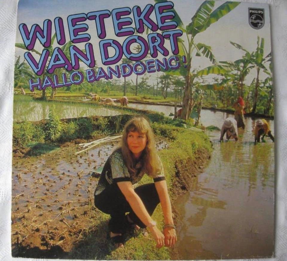LP Wieteke van Dort 1979, Ophalen of Verzenden, Zo goed als nieuw, 12 inch
