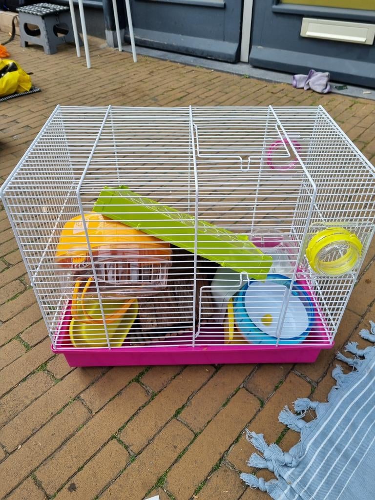 Hamster/cavia kooi, Dieren en Toebehoren, Knaagdieren en Konijnen | Hokken en Kooien, Ophalen of Verzenden, Kooi, Cavia, Minder dan 60 cm