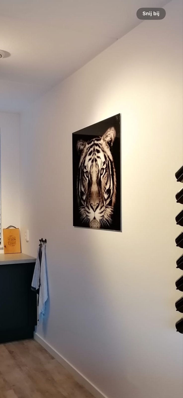 Prachtige Tijger Print op Glas van de Intratuin, Ophalen, 75 tot 100 cm, 75 – 100, Print