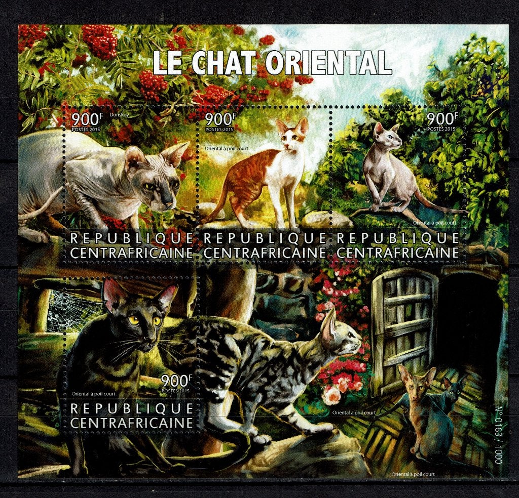 c.afrika 2015 pf blok poezen katten cats zoogdieren 1, Ophalen of Verzenden, Postfris, Dier of Natuur