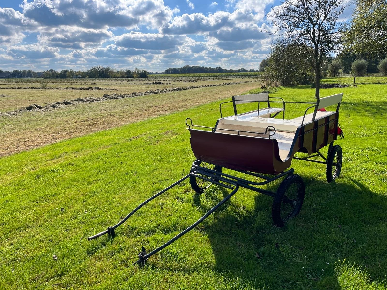 Leuke menwagen Shetlander / kleine pony, Dieren en Toebehoren, Rijtuigen en Koetsen, Gebruikt, Overige typen, Pony