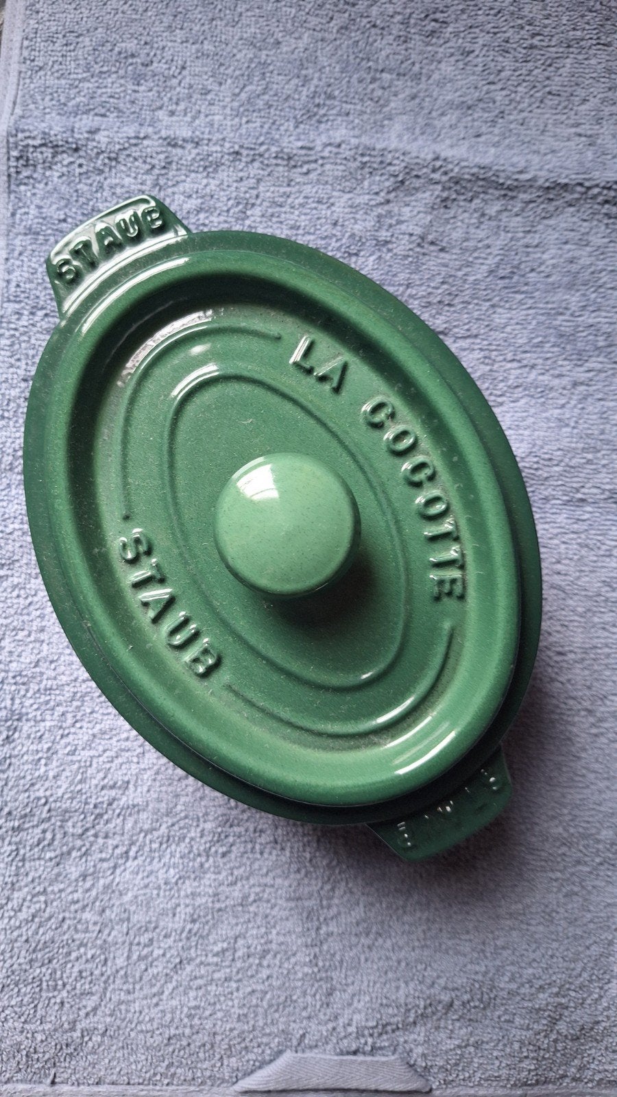 Staub La Cocotte Ovale Braadpan - Groen Gietijzer, Ophalen of Verzenden, Zo goed als nieuw, Met deksel, Overige merken