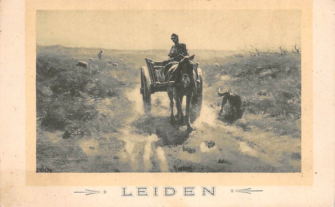 Leiden Tieleman & Dros Groenten en Soepen (Merk Molen), Ophalen of Verzenden, 1920 tot 1940, Ongelopen, Zuid-Holland