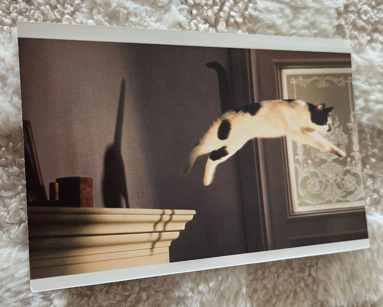 Vintage Whiskas Ansichtkaart - Springende Kat, Verzamelen, Verzenden, 1980 tot heden, Ongelopen, Hond of Kat