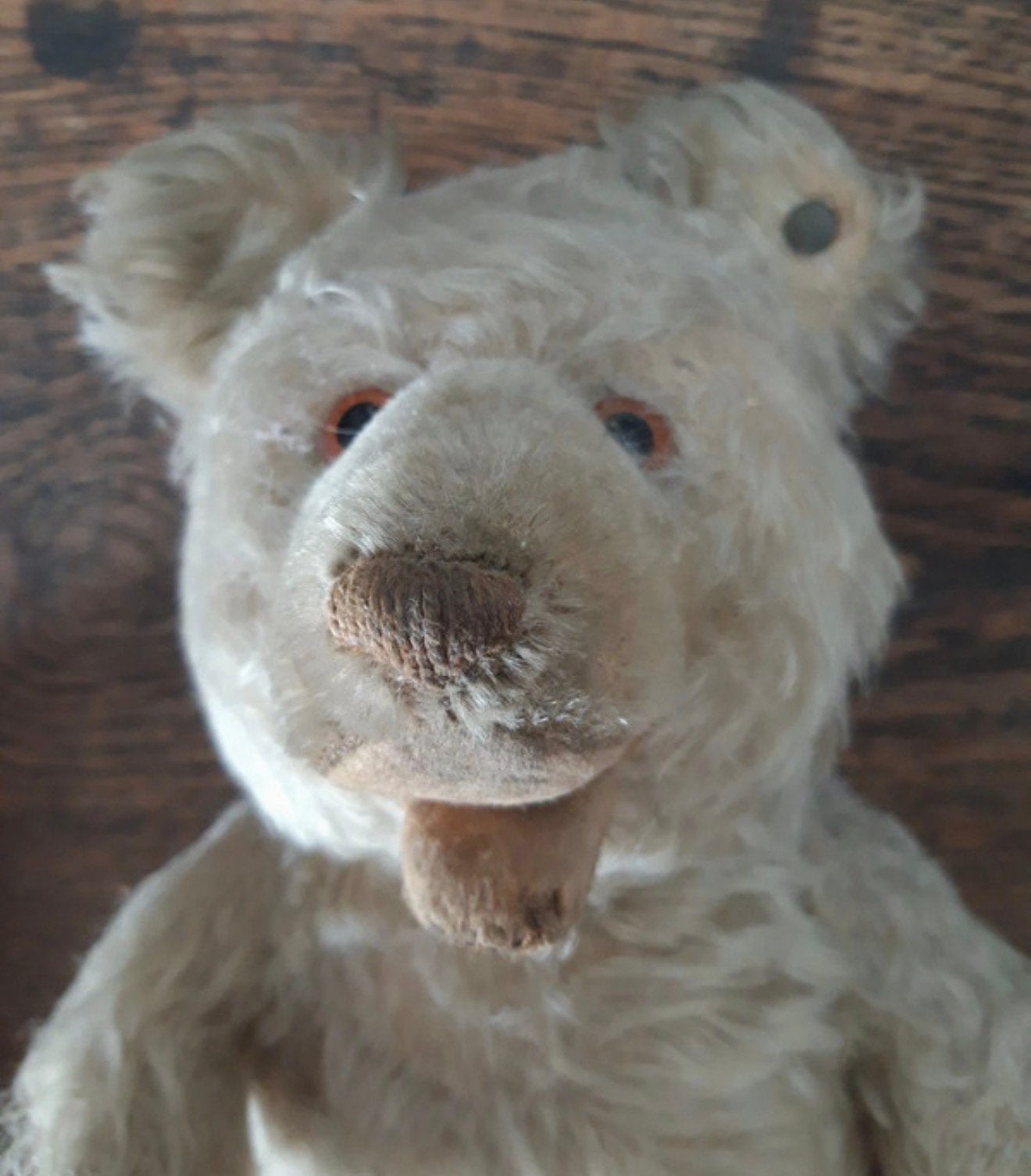 Prachtige Antieke Steiff Teddybeer 35CM Crème Mohair 1920, Antiek en Kunst, Antiek | Speelgoed, Ophalen of Verzenden