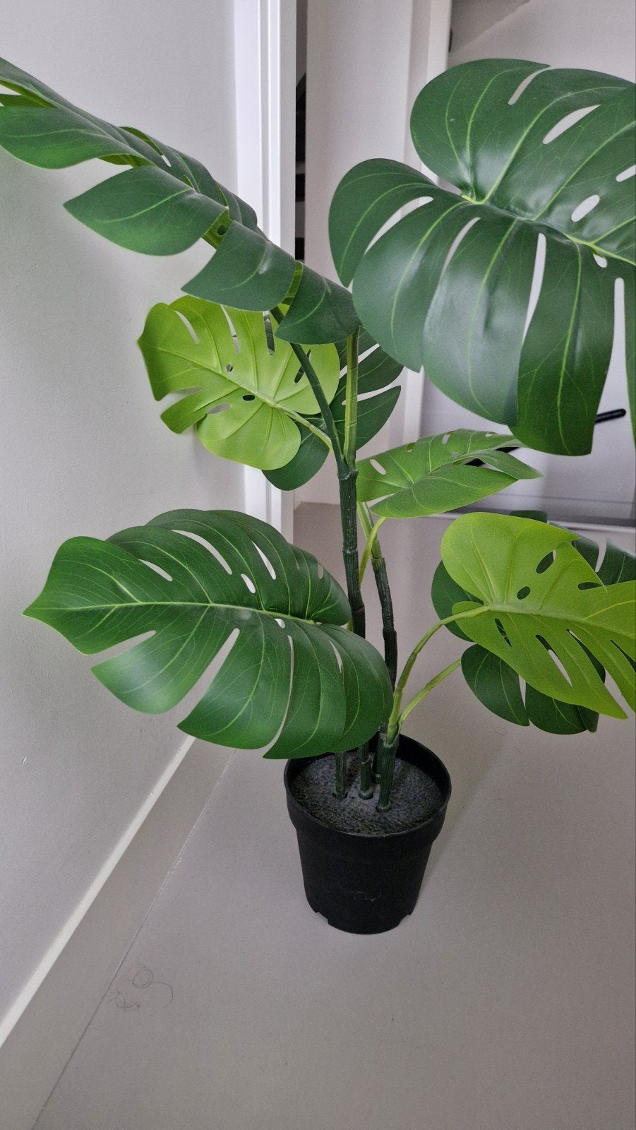 IKEA FJEKA Kunstplant Monstera, Ophalen, Halfschaduw, Minder dan 100 cm
