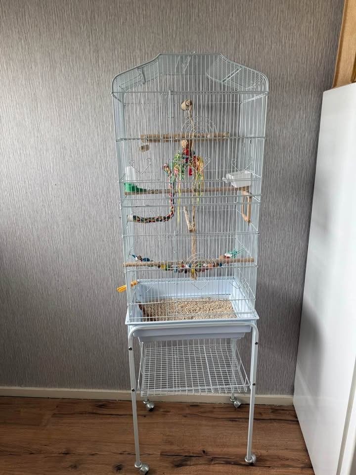 te koop mooie kooi 35 euro, Dieren en Toebehoren, Ophalen, Zo goed als nieuw, Metaal, Vogelkooi