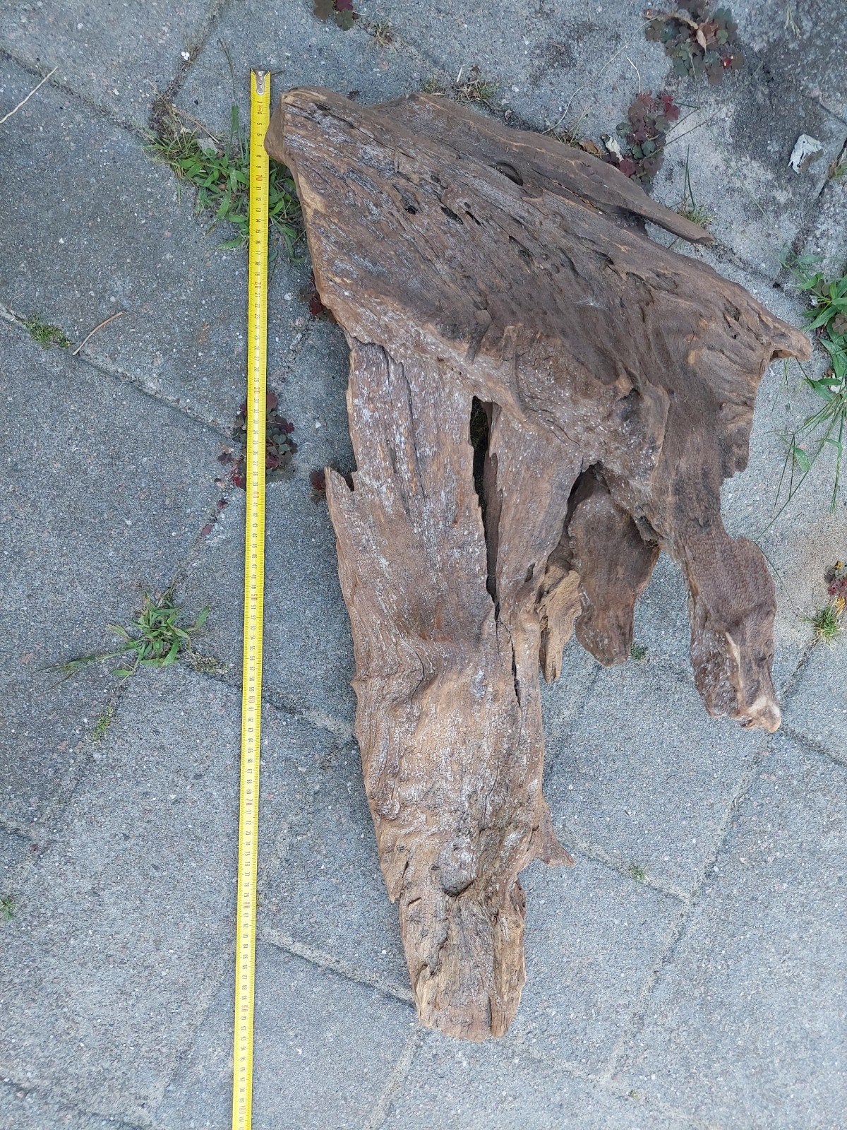 Groot stuk kienhout, Dieren en Toebehoren, Vissen | Aquaria en Toebehoren, Ophalen of Verzenden, Plant(en), Steen of Hout