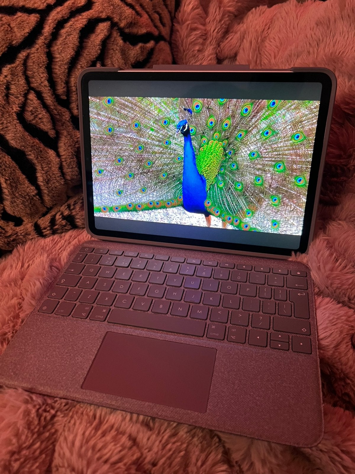 Apple iPad Pro M1 128GB, Computers en Software, 11 inch, Ophalen of Verzenden, Zo goed als nieuw, Apple iPad Pro