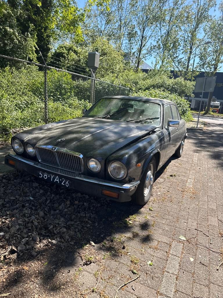 Jaguar XJ 1977 auto liep sleutel kwijt project zo meenemen!, XJ, Bedrijf, Sedan, Geïmporteerd