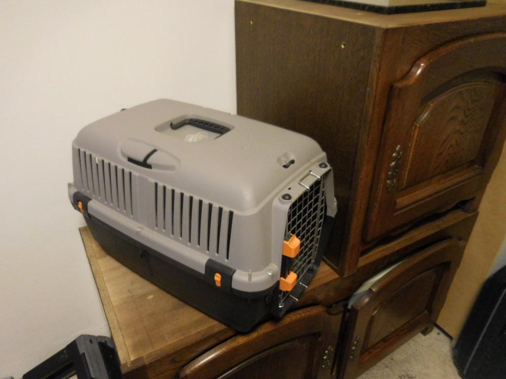 honden transportbox, Dieren en Toebehoren, Transportboxen, Ophalen of Verzenden, Zo goed als nieuw