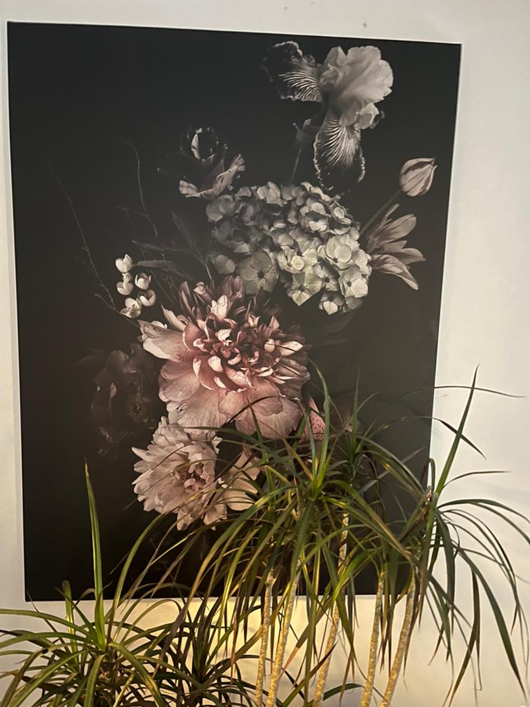 Mooi schilderij. 80x60 cm, Ophalen of Verzenden, Zo goed als nieuw, Schilderij, 75 cm of meer
