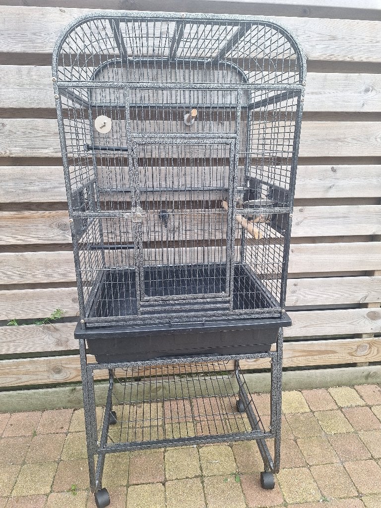 Nette papegaaien kooi, Ophalen, Gebruikt, Metaal, Vogelkooi