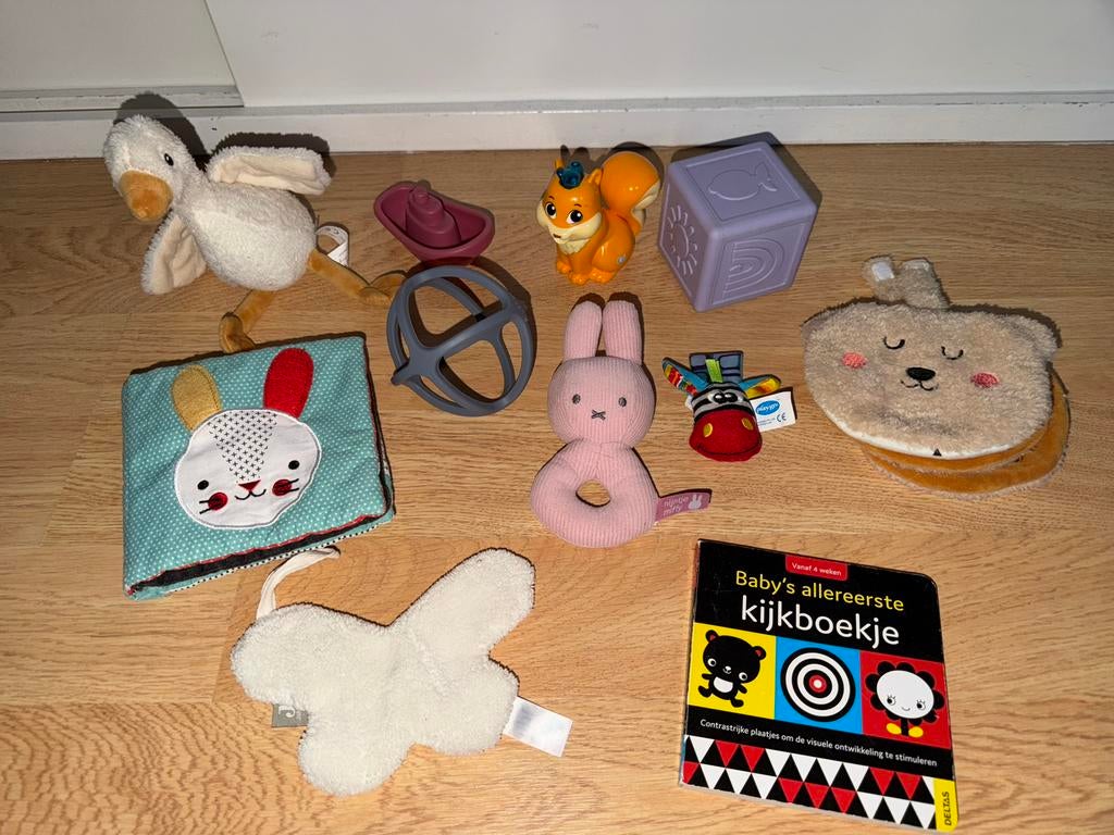 Baby speelgoed setje. 11 stuks, Ophalen of Verzenden, Zo goed als nieuw, Overige typen