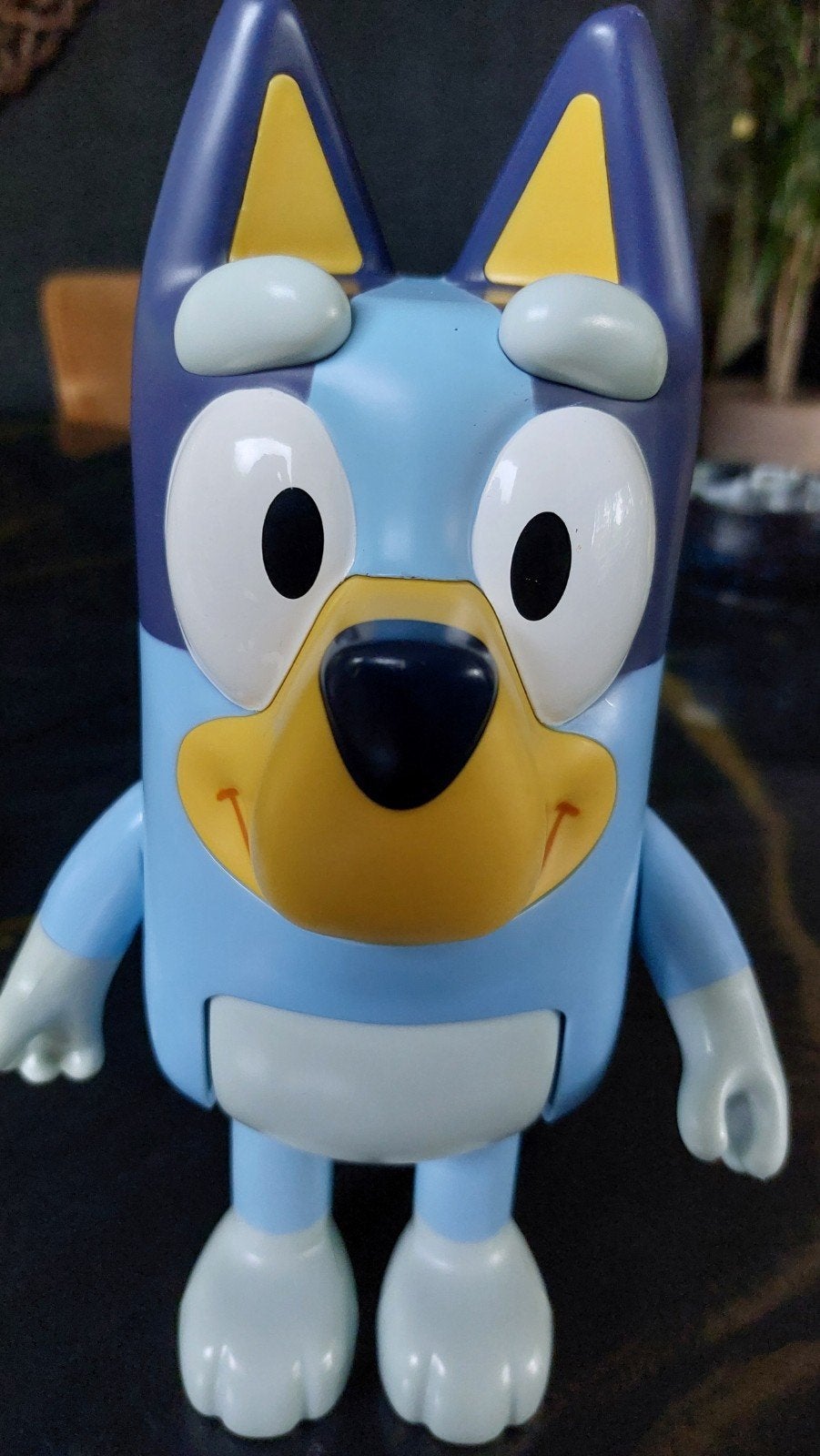 te koop bluey, Ophalen of Verzenden, Jongen of Meisje
