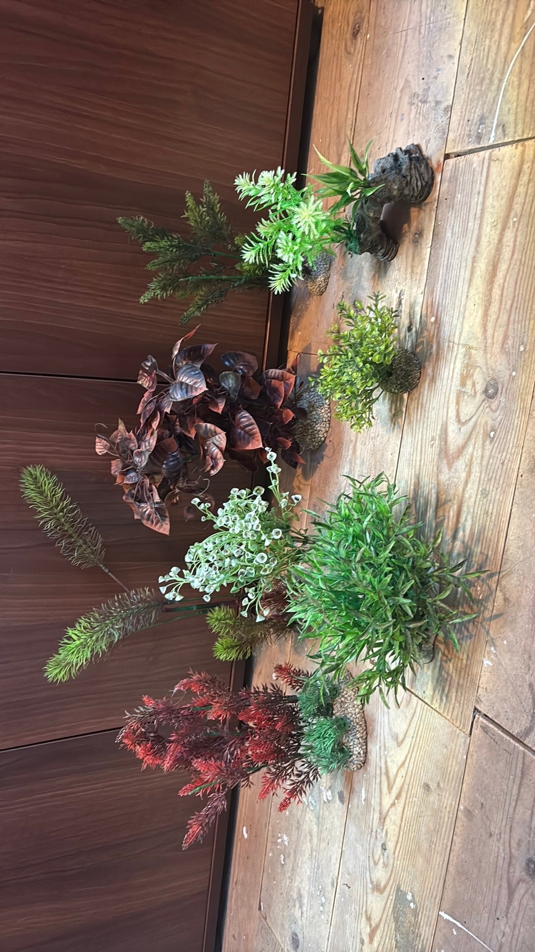8 aquarium plantjes, Ophalen of Verzenden, Gebruikt, Plant(en), Steen of Hout