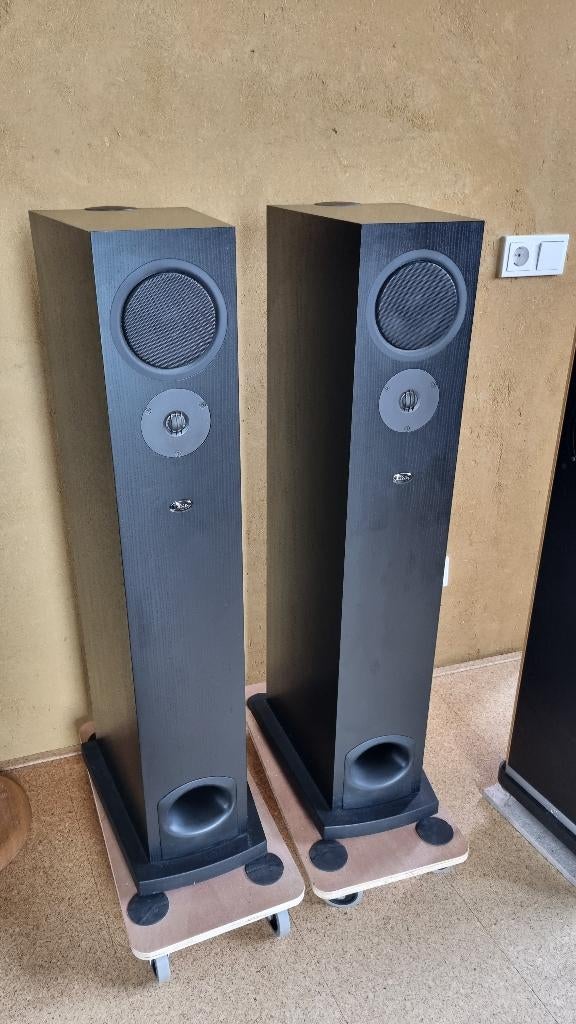 Linn Espek luidsprekers speakers, in zeer goede staat, zwart, Audio, Tv en Foto, Luidsprekers, Gebruikt, Front, Rear of Stereo speakers