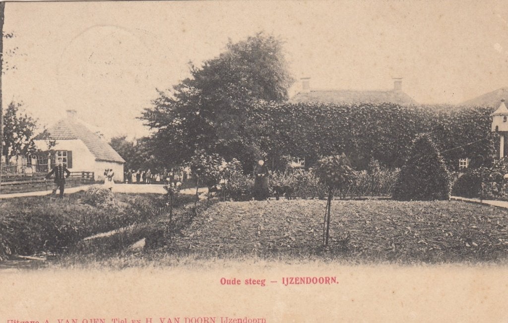 IJzendoorn - Oude Steeg 1903, Verzamelen, Ansichtkaarten | Nederland, Verzenden, Voor 1920, Gelopen, Gelderland