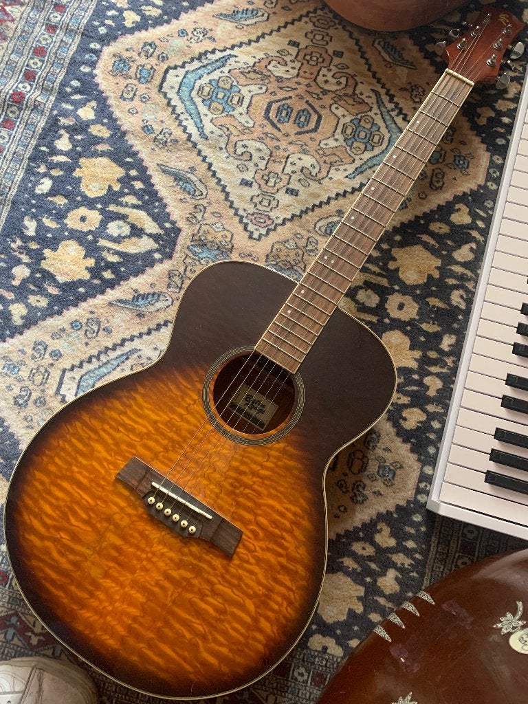 Gitaar Baton Rouge, Muziek en Instrumenten, Ophalen of Verzenden, Gebruikt, Western- of Steelstringgitaar, Met koffer