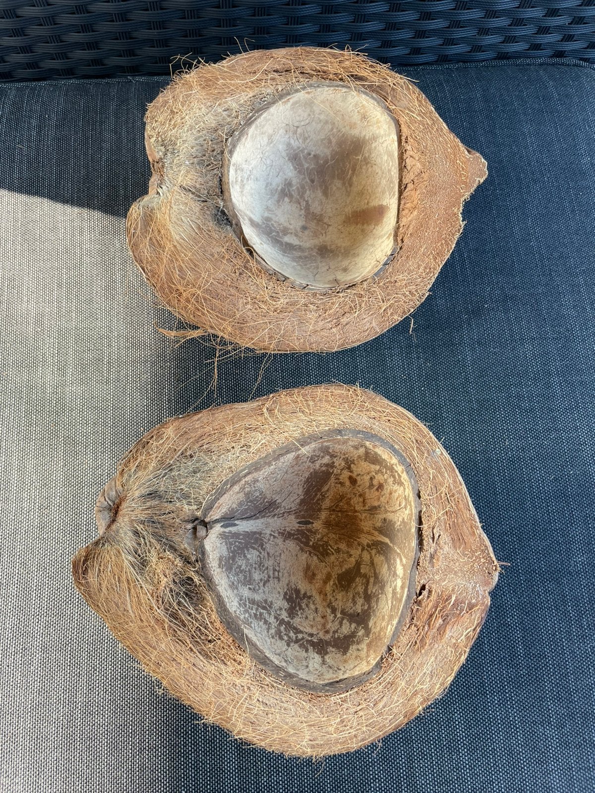 2 halve decoratie kokosnoten schalen., Huis en Inrichting, Woonaccessoires | Schalen en Manden, Schaal, Rond, Ophalen of Verzenden