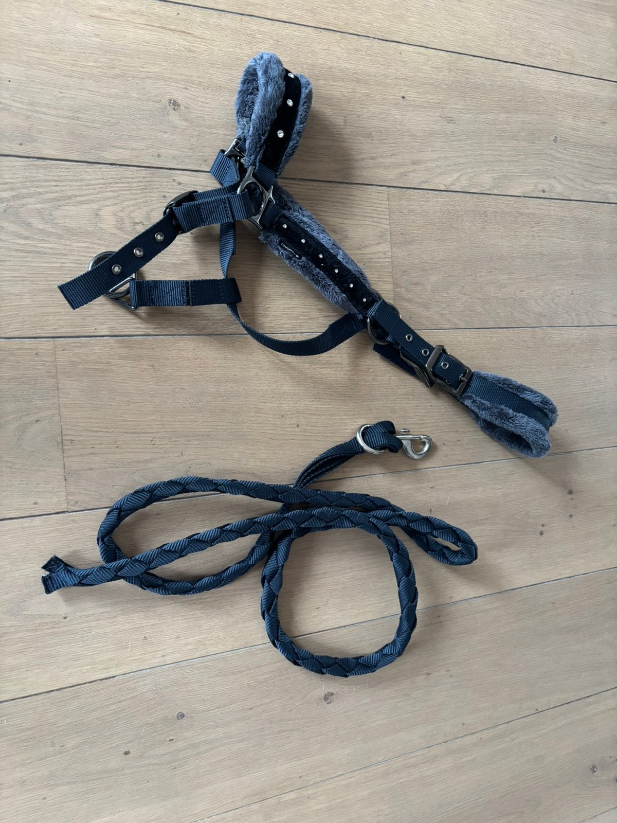 Halster + halster touw, Nieuw, Ophalen of Verzenden, Blauw, Halster
