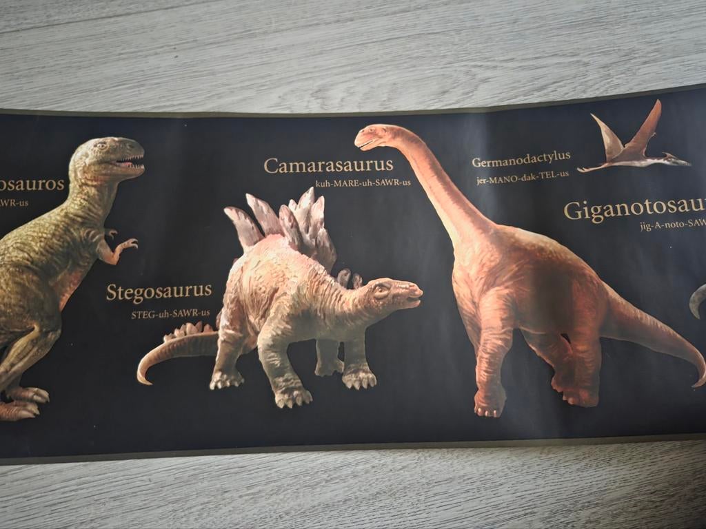 Dino behang voor stoere jongens kamer, Ophalen