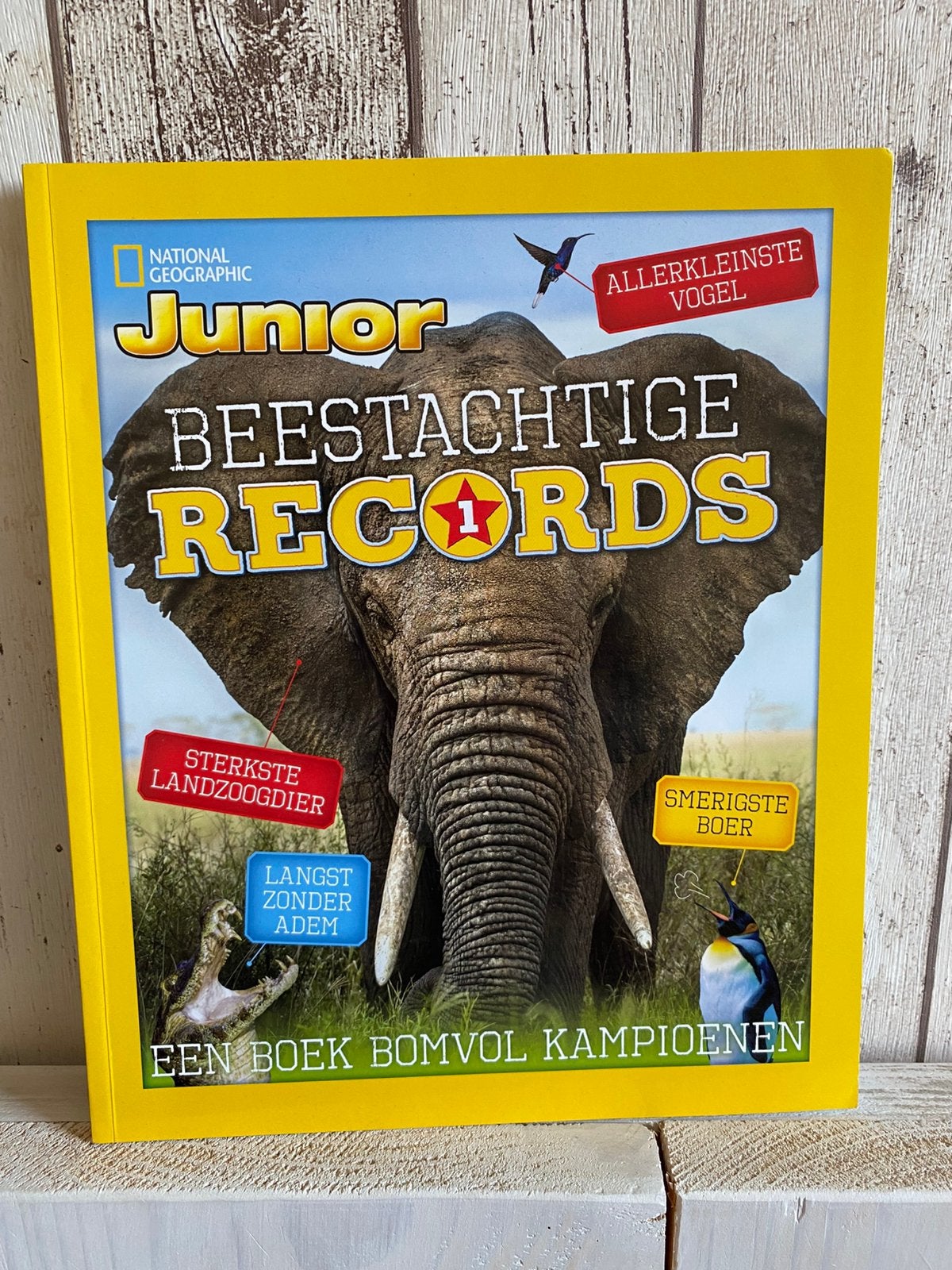 National Geographic junior beestachtige records nieuw, Boeken, Ophalen of Verzenden, Nieuw, Renske Lamers; Britt Sijtsma